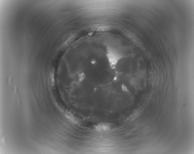 X0000066500358200603201329