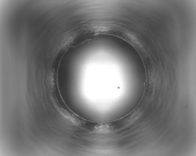 X0000066500362200603201329