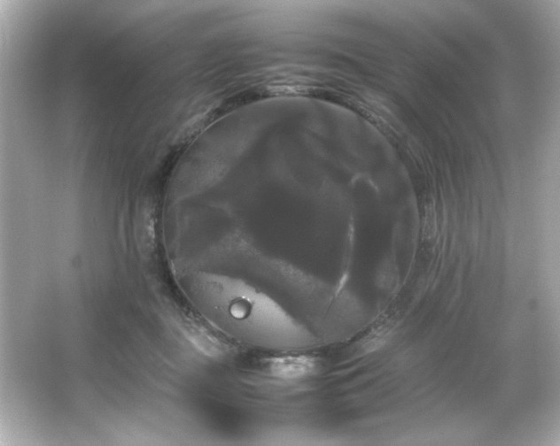 X0000066500363200603201329
