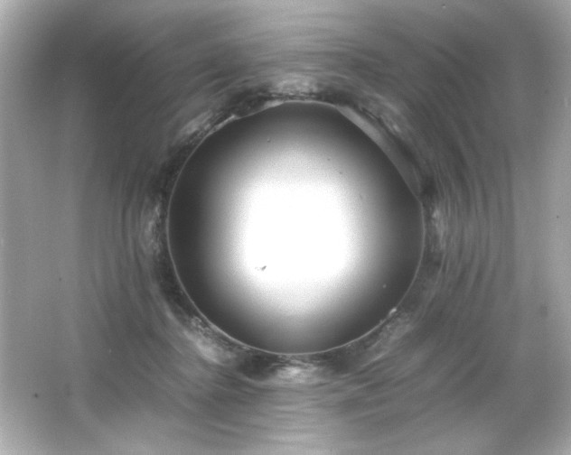 X0000066500364200603201329