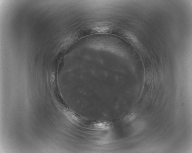 X0000066500365200603201329