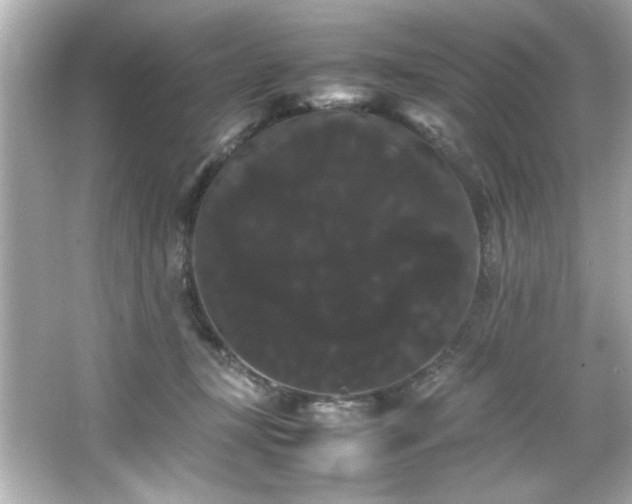 X0000066500367200603201329