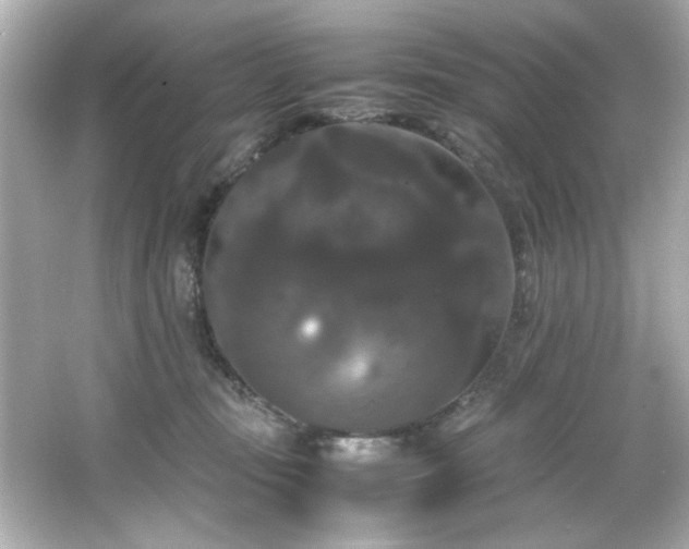 X0000066500371200603201329
