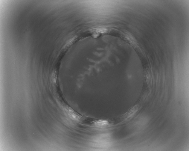 X0000066500374200603201329
