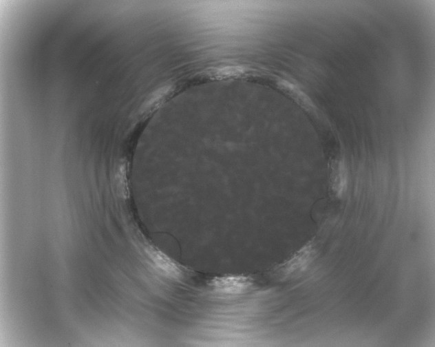 X0000066500378200603201329