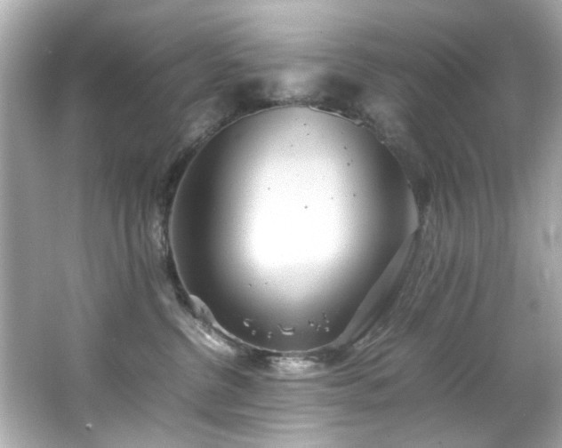 X0000066500380200603201329