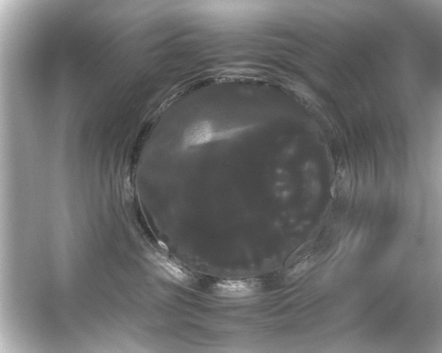 X0000066500381200603201329