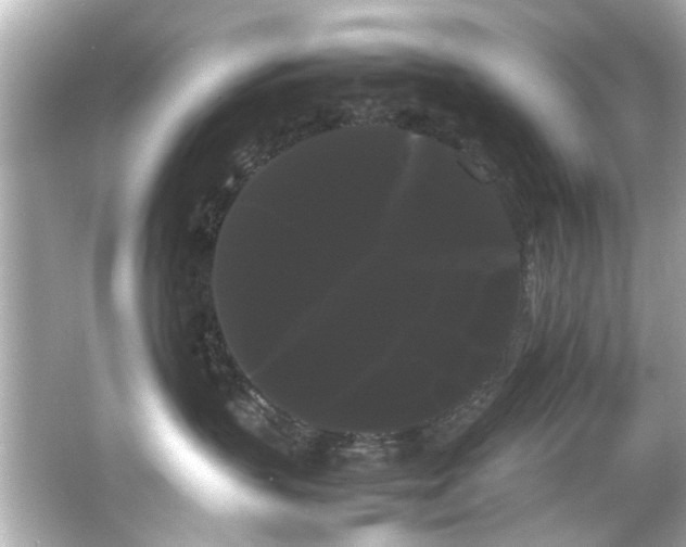 X0000066500383200603201329