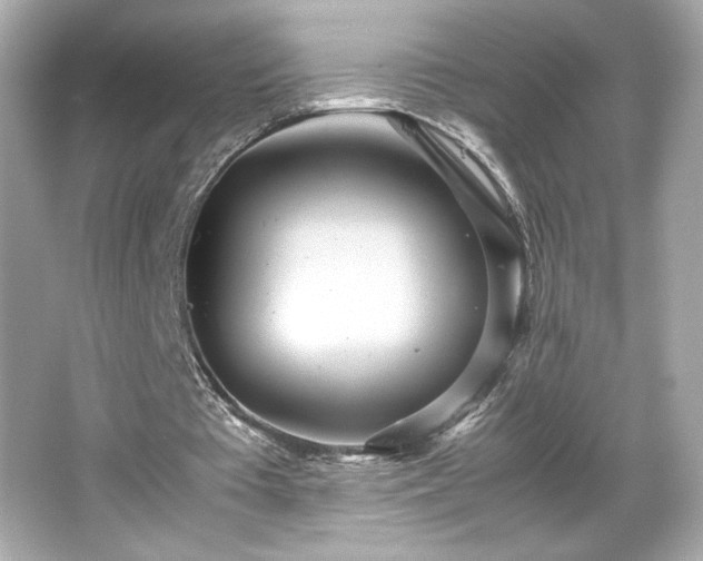 X0000066500385200603201329