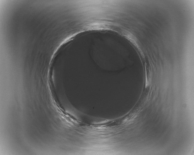 X0000066500387200603201329