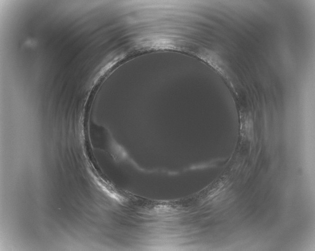 X0000066500390200603201329