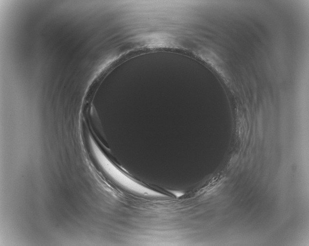 X0000066500391200603201329