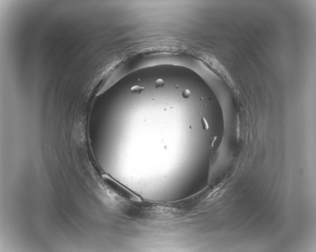 X0000066500393200603201328