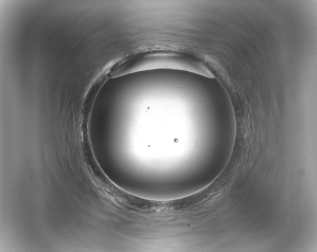X0000066500395200603201328