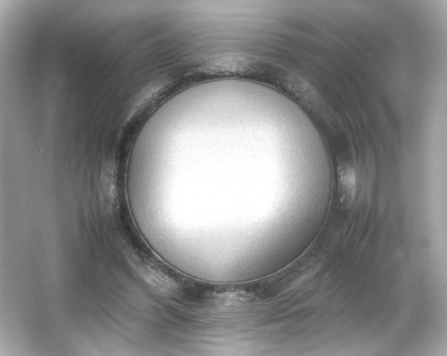 X0000066500396200603201328