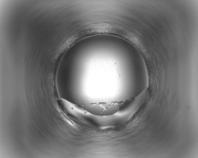 X0000066500397200603201328