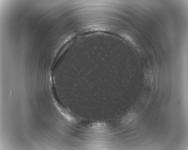 X0000066500398200603201328