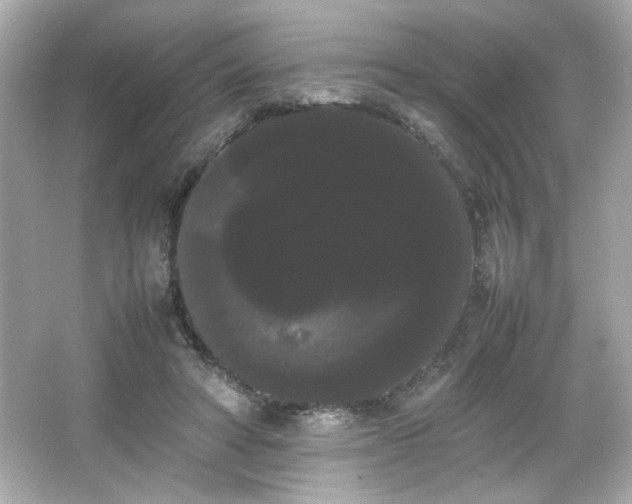 X0000066500402200603201328