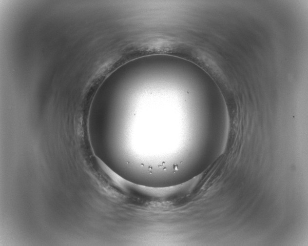 X0000066500403200603201328