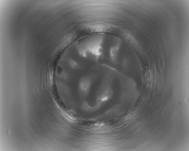 X0000066500406200603201328