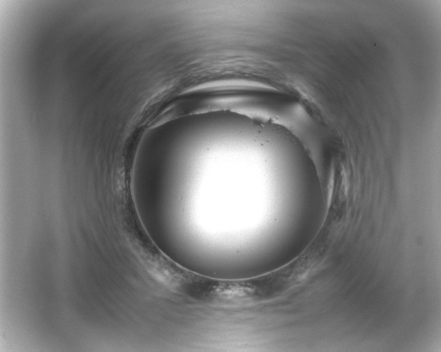 X0000066500407200603201328