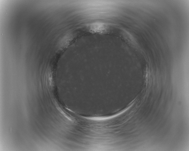X0000066500408200603201328