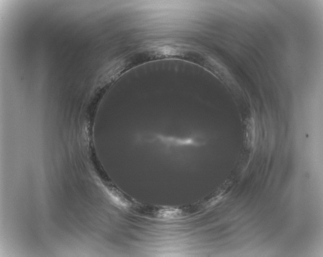 X0000066500410200603201328