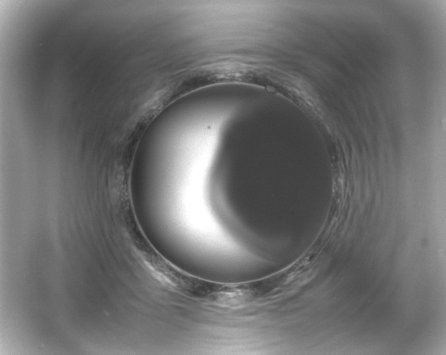 X0000066500411200603201328