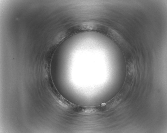 X0000066500414200603201328