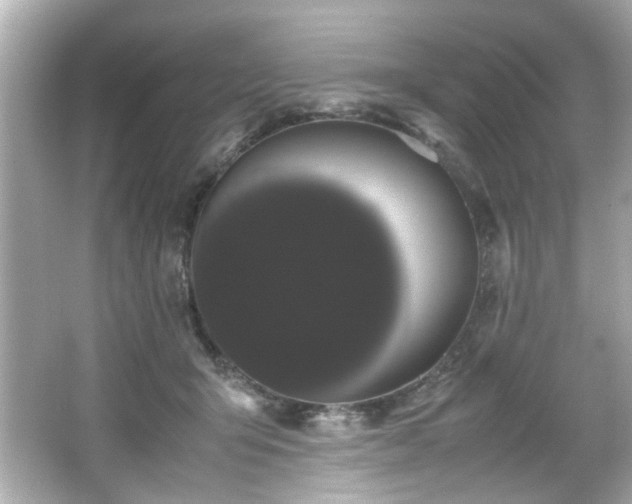 X0000066500415200603201328