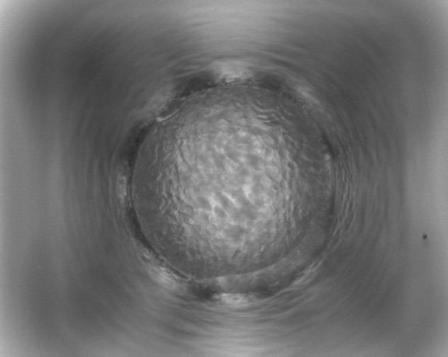 X0000066500417200603201328