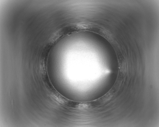 X0000066500418200603201328
