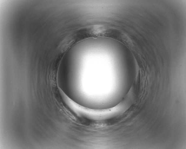 X0000066500421200603201328