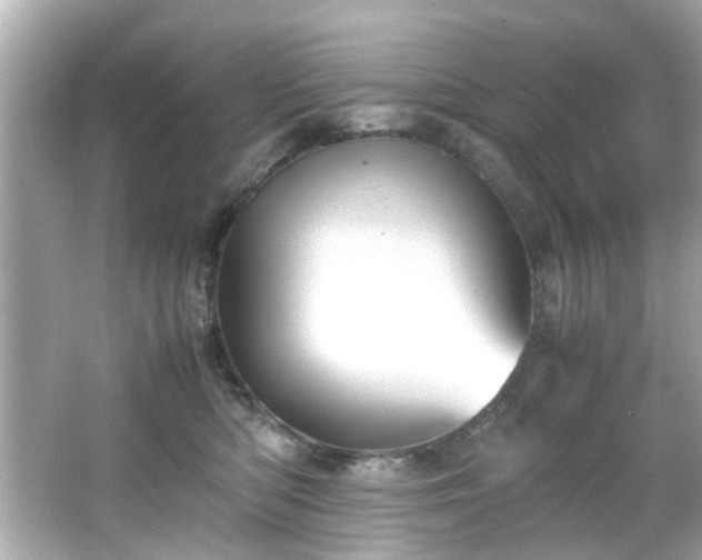 X0000066500422200603201328
