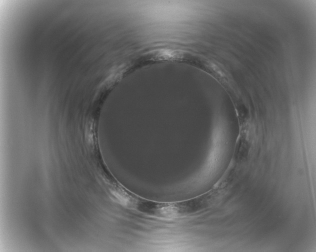 X0000066500423200603201328