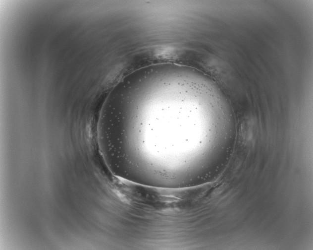 X0000066500424200603201328