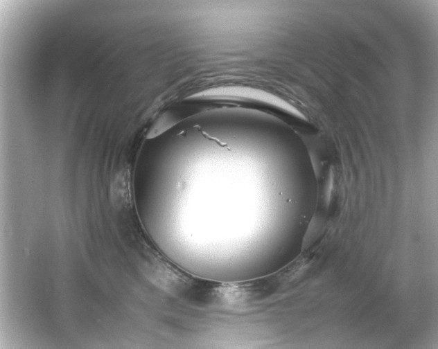 X0000066500425200603201328