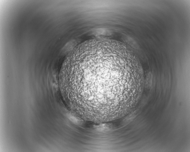 X0000066500430200603201328