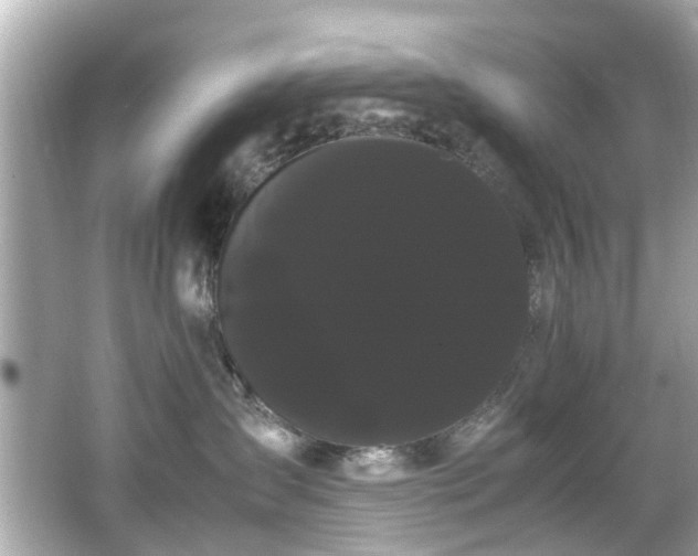 X0000066500431200603201328