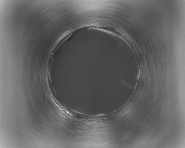 X0000066500434200603201327