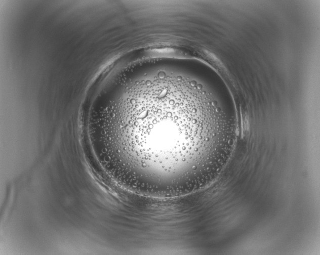 X0000066500435200603201327