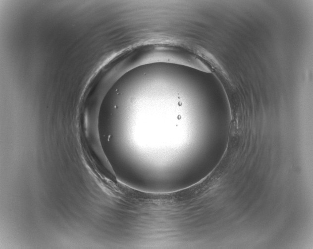 X0000066500436200603201327
