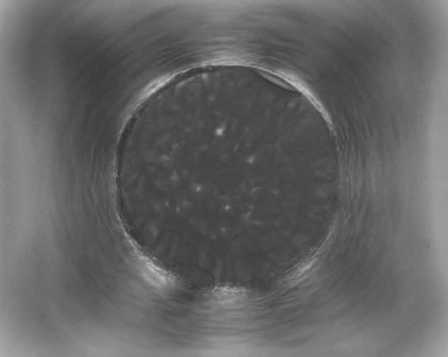 X0000066500437200603201327