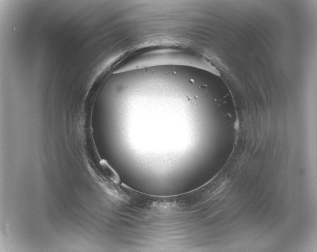 X0000066500440200603201327