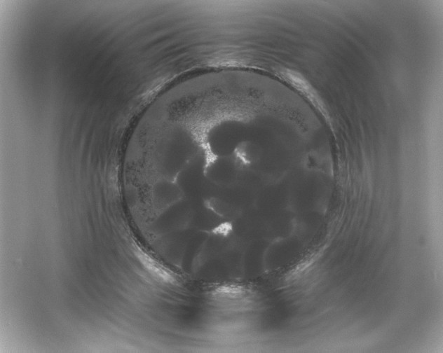X0000066500441200603201327