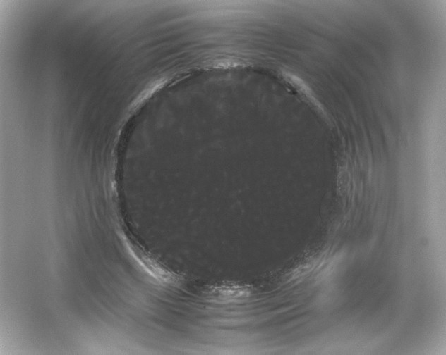 X0000066500443200603201327