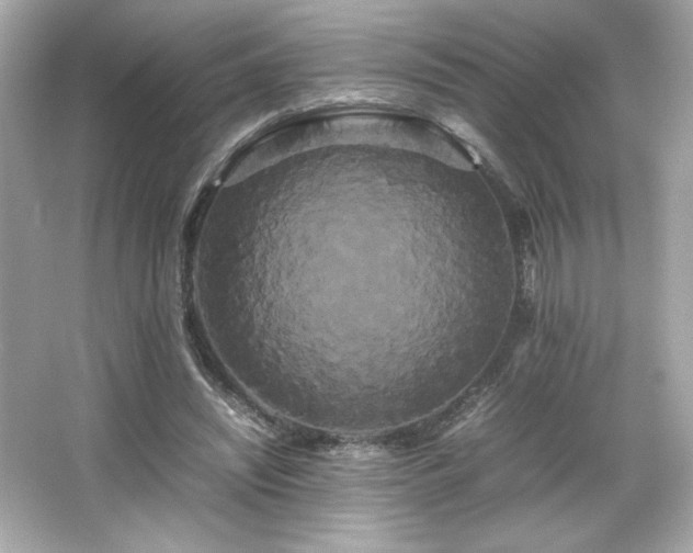 X0000066500444200603201327
