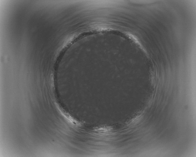 X0000066500447200603201327