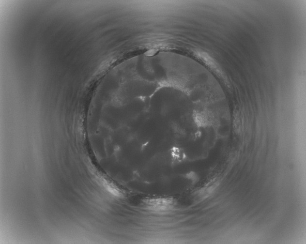 X0000066500449200603201327