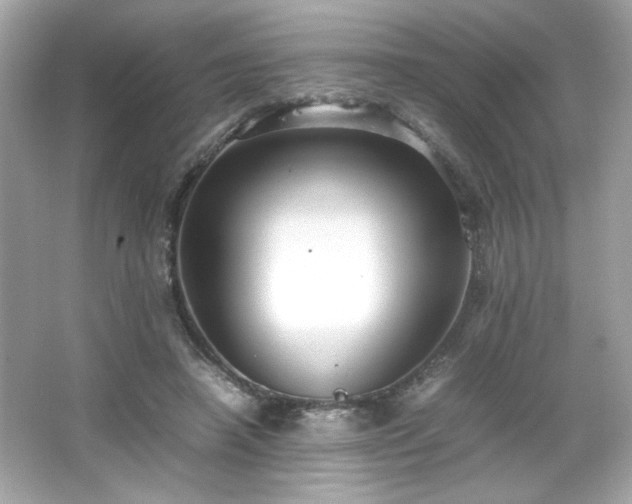 X0000066500450200603201327